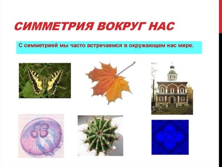 Симметричные фигуры вокруг нас