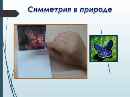 Симметрия вокруг нас нарисовать