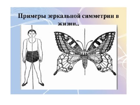 Осевая симметрия примеры