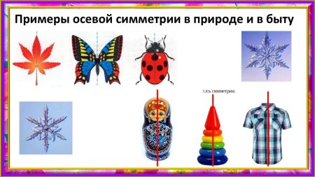 Вращательная симметрия вокруг нас