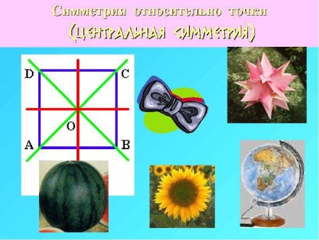 Осевая симметрия в природе