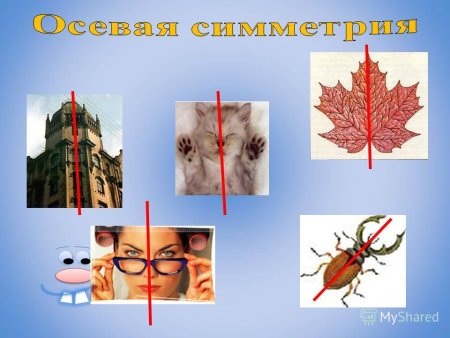 Осевая симметрия