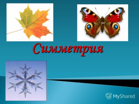 Симметричные предметы в природе