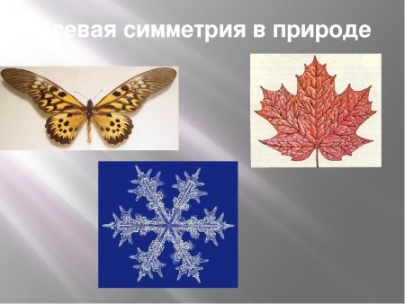 Симметричные фигуры по клеточкам