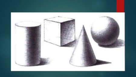 Многообразие форм окружающего мира