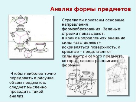 Многообразие форм окружающего мира