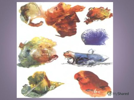 Понятие формы. Многообразие форм окружающего