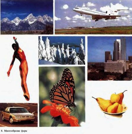 Многообразие форм предметов
