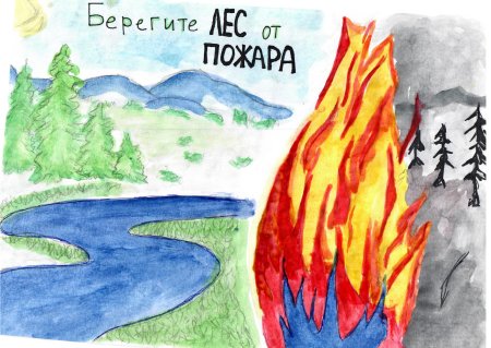 Берегите лес от пожара рисунки
