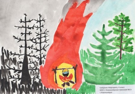 Рисунок на тему берегите лес от пожара