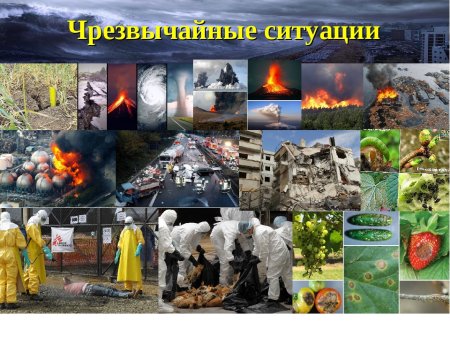 Алгоритм действий при ЧС природного характера