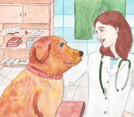 Профессия ветеринар