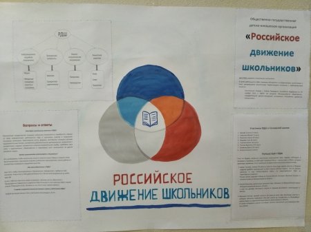 Рисунки на тему я и РДШ