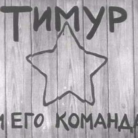 Тимур и его команда звезда на заборе