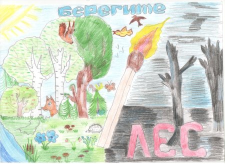 Рисунок на тему береги лес