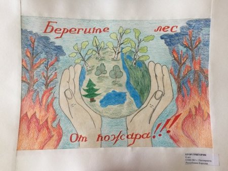 Плакат береги лес