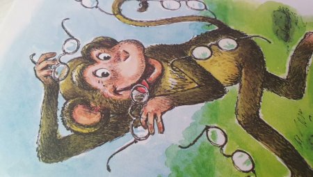 Обезьяна и очки