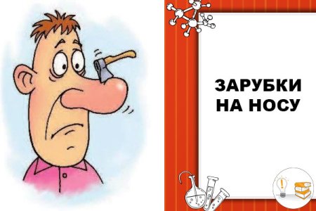 Зарубить на носу