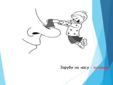 Фразеологизм заруби на носу