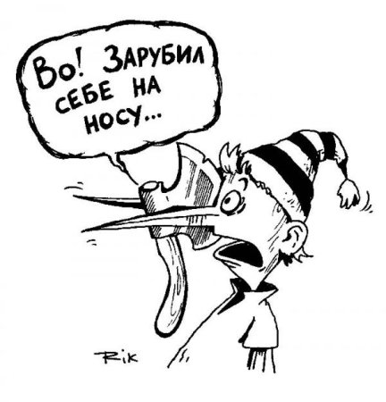 Зарубить на носу