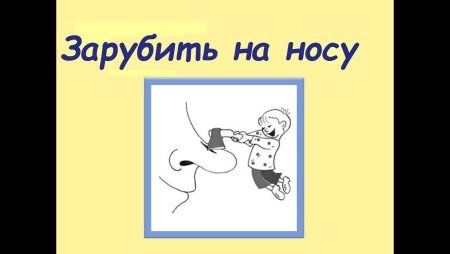 Выражение зарубить на носу