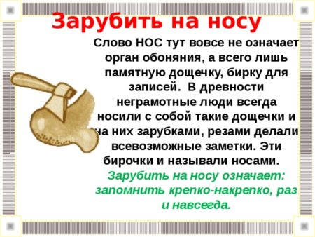 Фразеологизм зарубить себе на носу