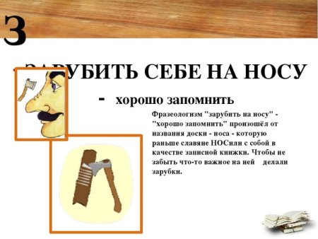 Фразеологизм заруби себе на носу