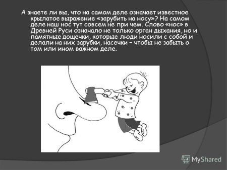 Зарубить на носу