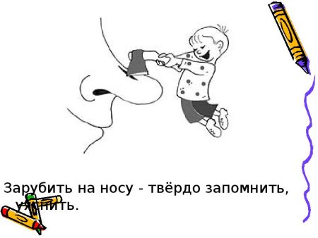 Зарубить на носу