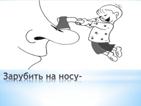 Заруби себе на носу