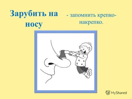 Происхождение фразеологизма зарубить на носу