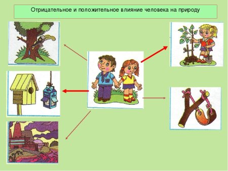 Положительное влияние человека на природу