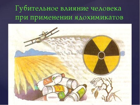 Влияние человека на природу рисунок