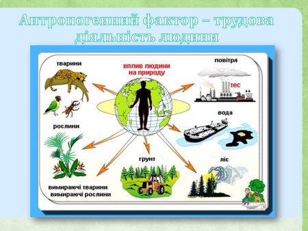 Воздействие человека на природу