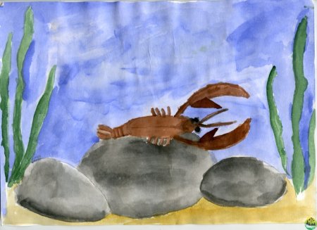 Обитатели водоемов рисунки