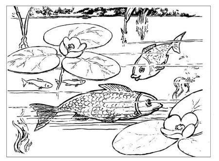 Раскраски обитатели водоемов для детей