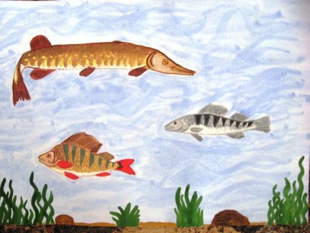 Рисование рыбы в подготовительной группе