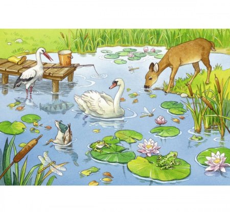 Конкурс рыба