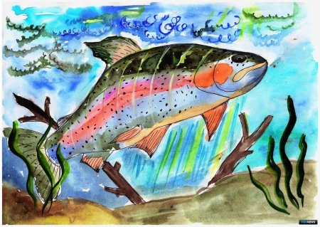 Рисунок по экологии