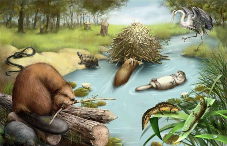 Сказочные обитатели водоемов