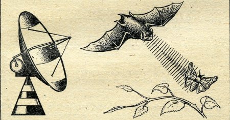 Джек стиль Бионика