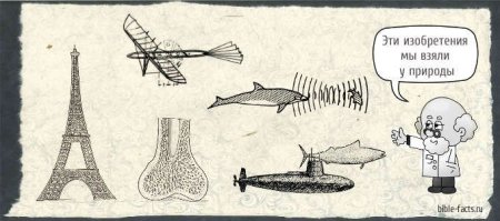 Изобретения подсказанные природой рисунок