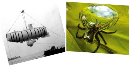 Заимствование у природы