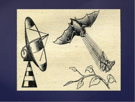 Бионика в искусстве