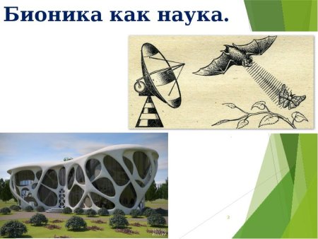 Общеморфологическая Бионика