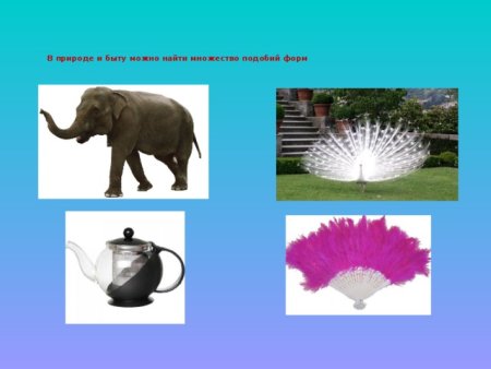 Подобие форм в природе и быту