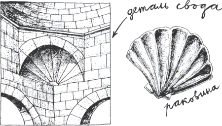 Бионика: подсказано природой а. а. Леонович
