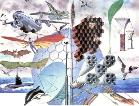 Бионика наука