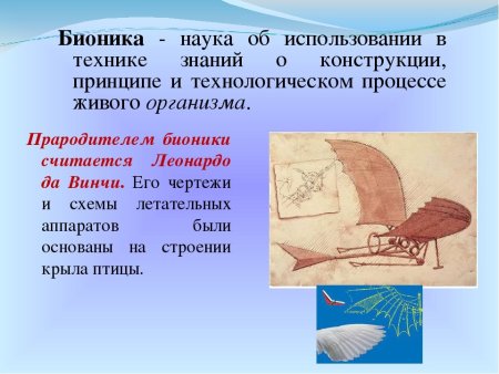 Бионика это наука изучающая