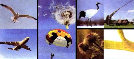 Изобретения подсказанные природой для детей